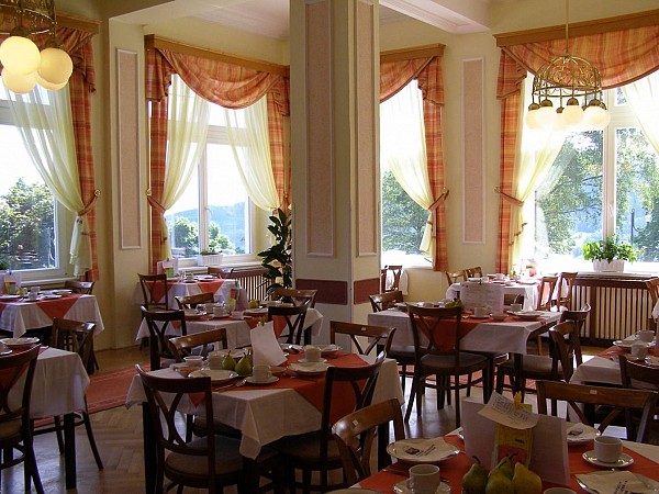 Lázeňský dům Priessnitz Jeseník - Komplexní léčebný pobyt 8