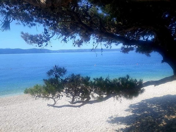 Igrane 6 dní vlastní doprava - vyhněte se frontám s nástupy v neděli nebo v úterý 17