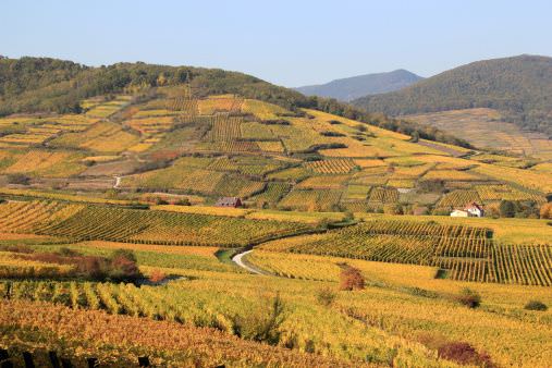 Magická Paříž a Versailles + Alsasko 15