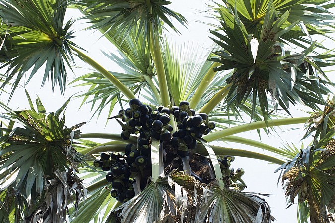 Berlín a koupání v Tropickém ráji 12